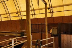 Accessible-Horseback-Riding